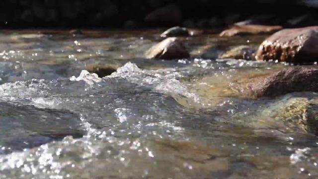 Блики воды на рассвете смотреть онлайн