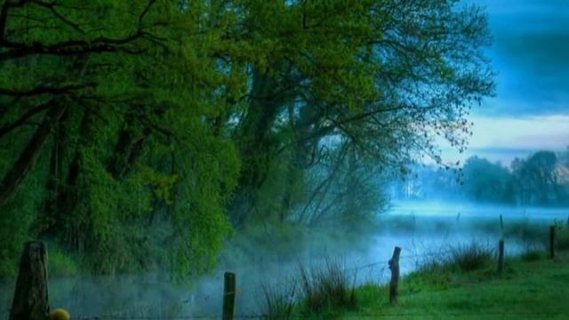 Туман-туманище смотреть онлайн