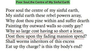 Poor Soul The Centre of My Sinful Earth sonnet explanation