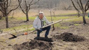 Правила посадки саженцев