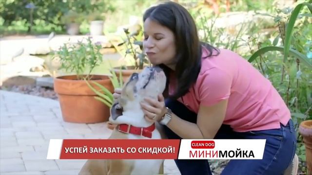 Обзор лапомойки для собак - Clean Dog. Уход за лапами собак