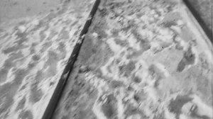 На страже безопасности движения.