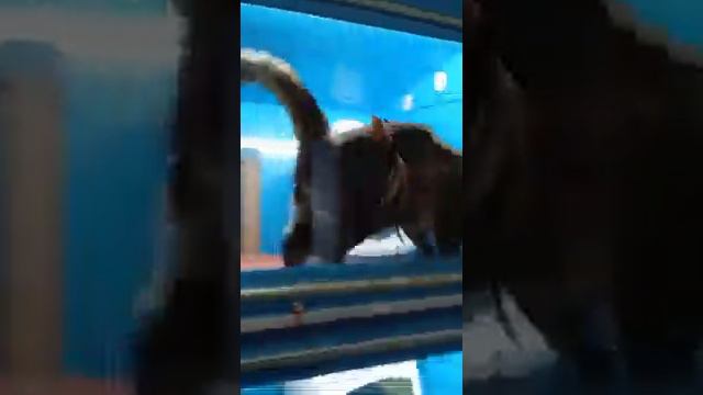 Стационар  Безопасные игры