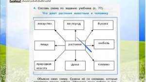 Задание 4 Солнце, растения и мы с вами - Окружающий мир 3 класс (Плешаков А.А.) 1 часть