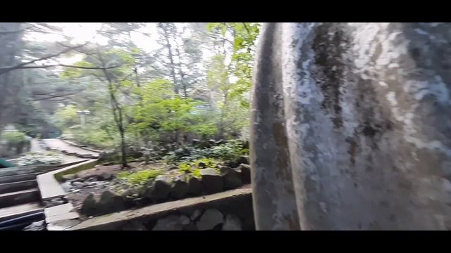 крым#гурзуф июль 2021#прогуляемся? смотреть онлайн