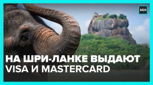 Россияне смогут оформить карты Visa и Mastercard в Шри-Ланке - Москва 24