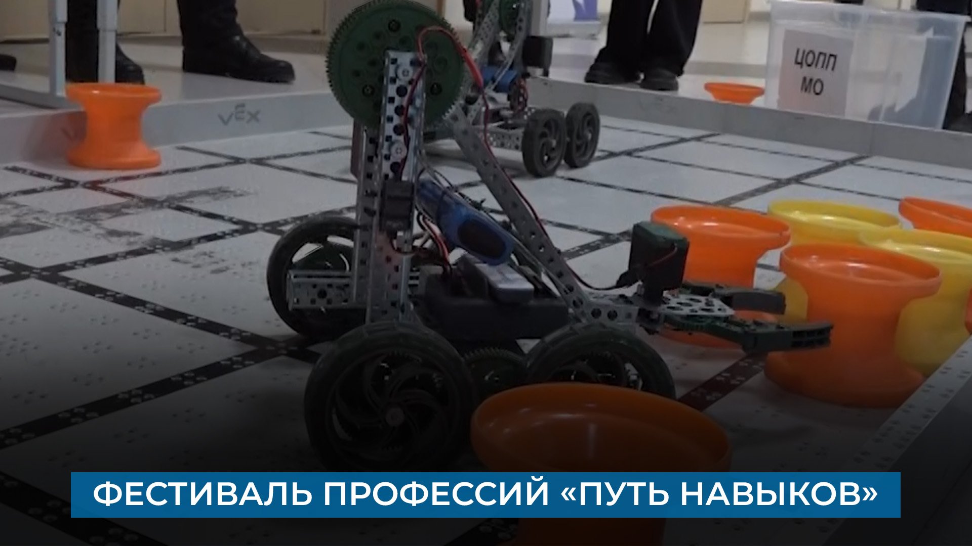 Фестиваль профессий «Путь навыков»