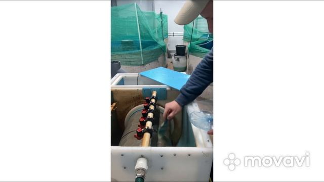 Перекись водорода для УЗВ. Часть 2