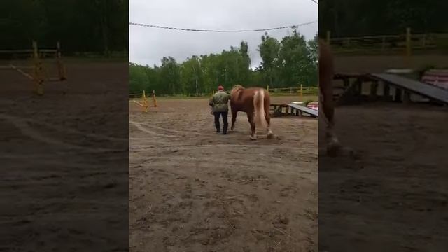 Советский тяжеловоз на прогулке