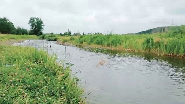 река Дарья впадает в реку чусовая староуткинск Свердловская область смотреть онлайн