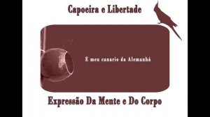 Xô Xô Meu Canario - Capoeira Music