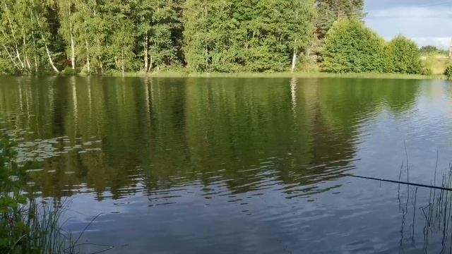 170.Рыбалка/Сомино /Озеро Лошево смотреть онлайн