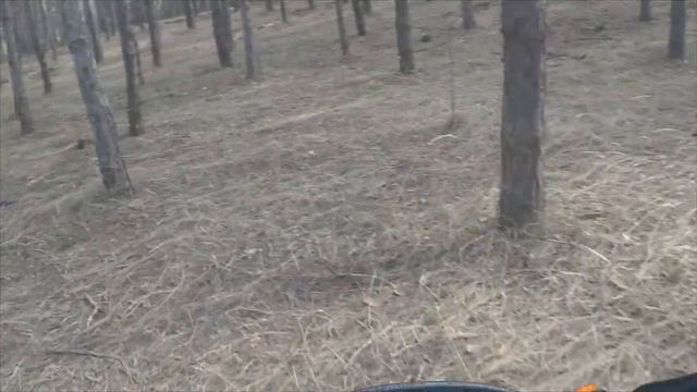 Honda Xr250 Гоняем по лесу смотреть онлайн