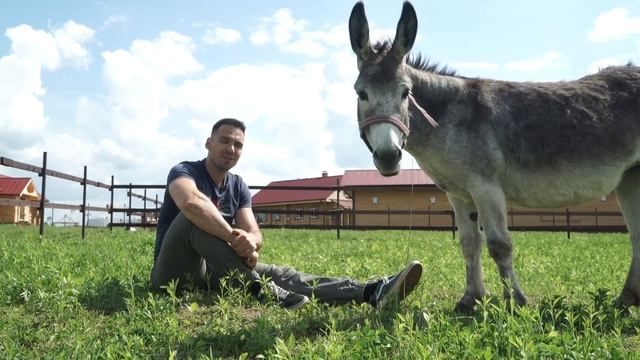 Зачем нужны ослы на ферме? | История любви Колы и Тихона