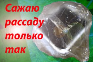 Самодельная микро теплица для рассады
