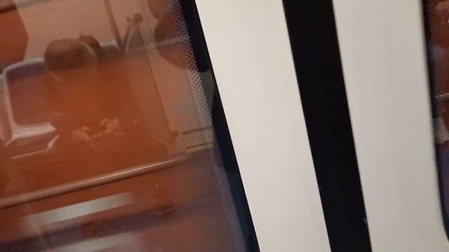 Поездка по всей 3 Невско-Василеостровской линии 1 часть Приморская-Ломоносовская