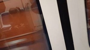 Поездка по всей 3 Невско-Василеостровской линии 1 часть Приморская-Ломоносовская