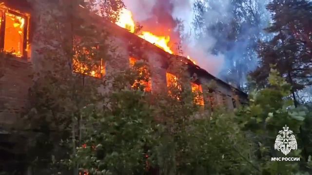 Пожар посёлок Васильевский Мох 20.08.2024г