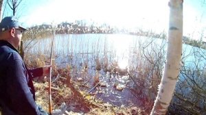 Рыбалка | Это Карась монстр, ловим в пруду возле Питера