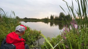 РЫБАЛКА НА ПЛАТНИКЕ! СТРЕЛЕЦКИЙ РУЧЕЙ!