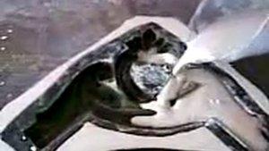 отливка декора из гипса