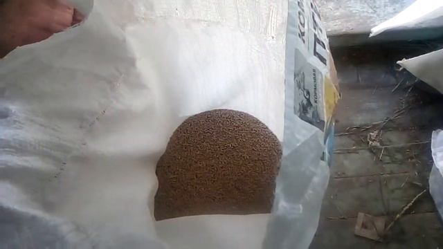 Куриный комбикорм для кроликов.