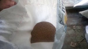 Куриный комбикорм для кроликов.