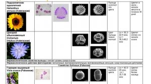 Технология пыльцевого анализа