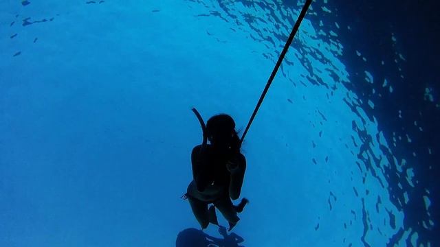 Discover freediving in gili meno смотреть онлайн