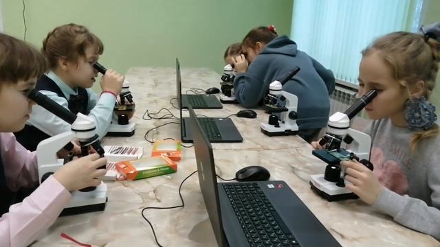 микроскоп.mp4