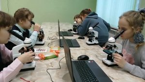 микроскоп.mp4