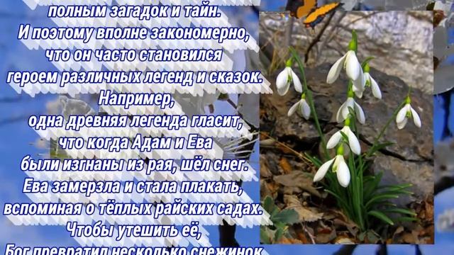 День подснежника! - 19 апреля. смотреть онлайн