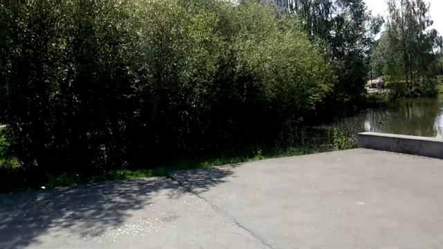 Новое Девяткино. Лен. Обл.