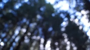 Mikhail Smirnov - Russia - 2015 Junior Eurovision Song Contest