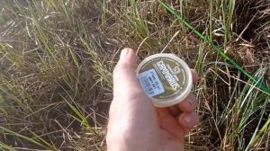 тестированние искусственного гаммаруса