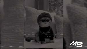 Яд Добра - Юности года?