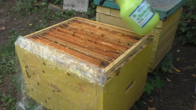 ПОДГОТОВКА ПЧЕЛ к ЗИМЕ.  Профилактическая обработка эндовиразой