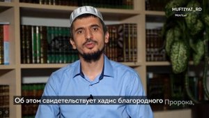 можно ли по исламу кроликов кушать и разводить ?