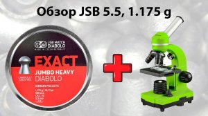 JSB 5,5 1,175 – обзор под микроскопом.