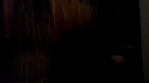 Гоп стоп зелень