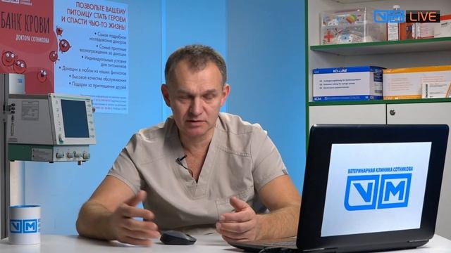 Дисплазия как лечить что лечит а что нет. смотреть онлайн