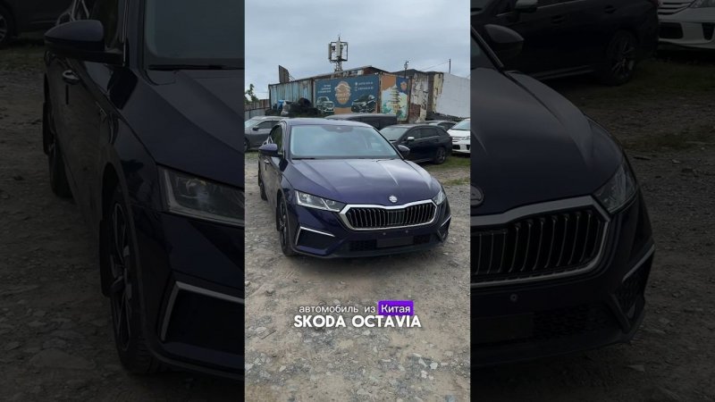 Skoda Octavia из Китая с компанией Приорити Авто