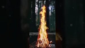 Внуки Сварога - Славные дети!