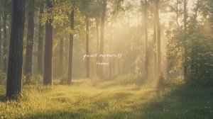Ambient music. Музыка для чтения и отдыха. Инструментальная музыка без слов для отдыха на природе.