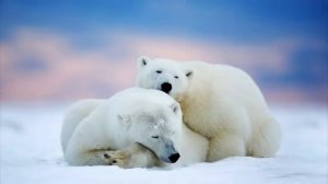 Там где всегда мороз