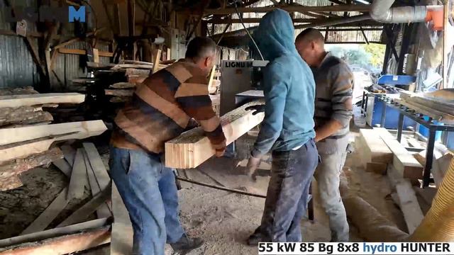 55 kW 8x8 hydro HUNTER Çoklu Dilimleme Makinesi Lignum Ağaç İşleme Makineleri 🌲 смотреть онлайн