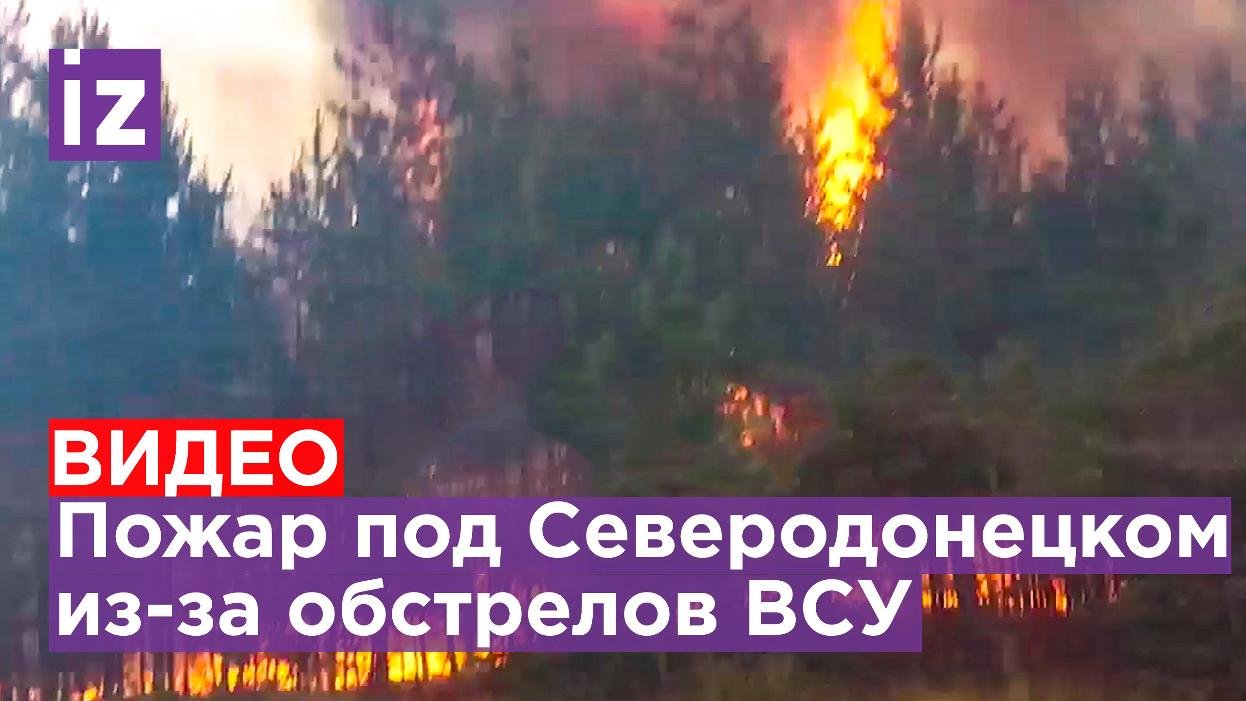 Эксклюзив "IZ": кадры лесного пожара в результате обстрела со стороны ВСУ у Северодонецка / Известия