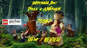 Запретный лес: Грохх и Амбридж - обзор набора LEGO Гарри Поттер 75967