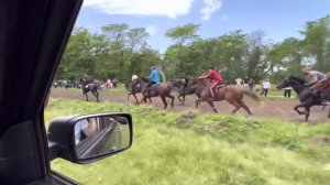 Чемпионат Кавказа 2023 иноходцы 1 этап.