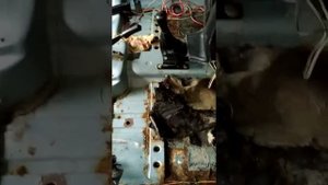 Химчистка авто после затопления